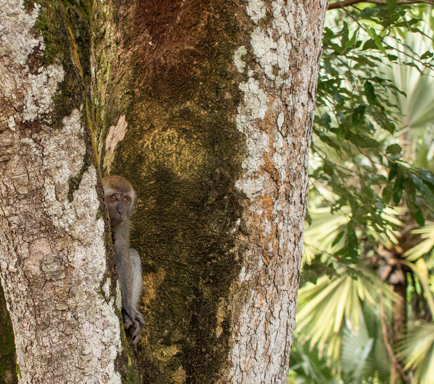 Singapore 10