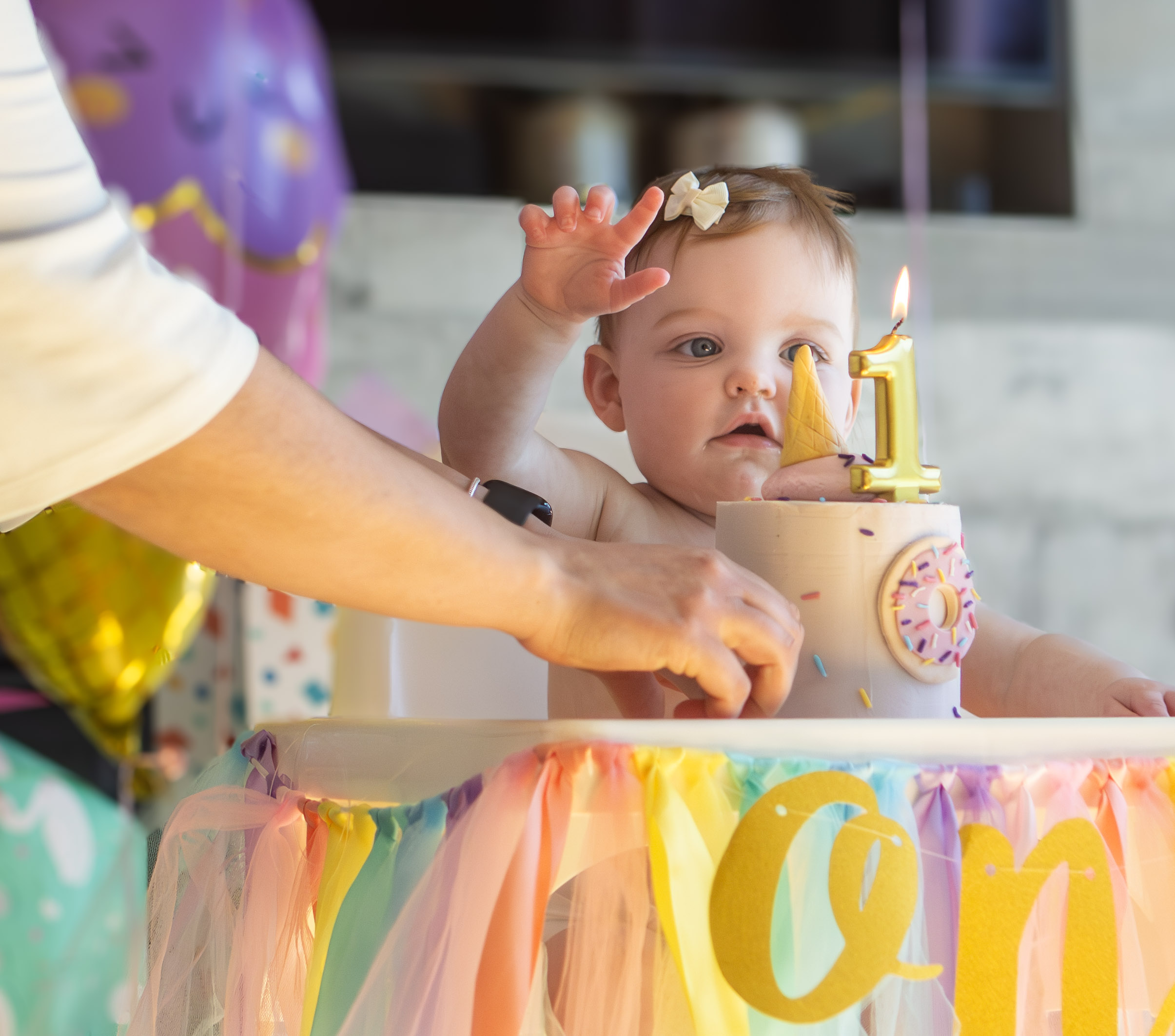 Sophie's 1st Birthday